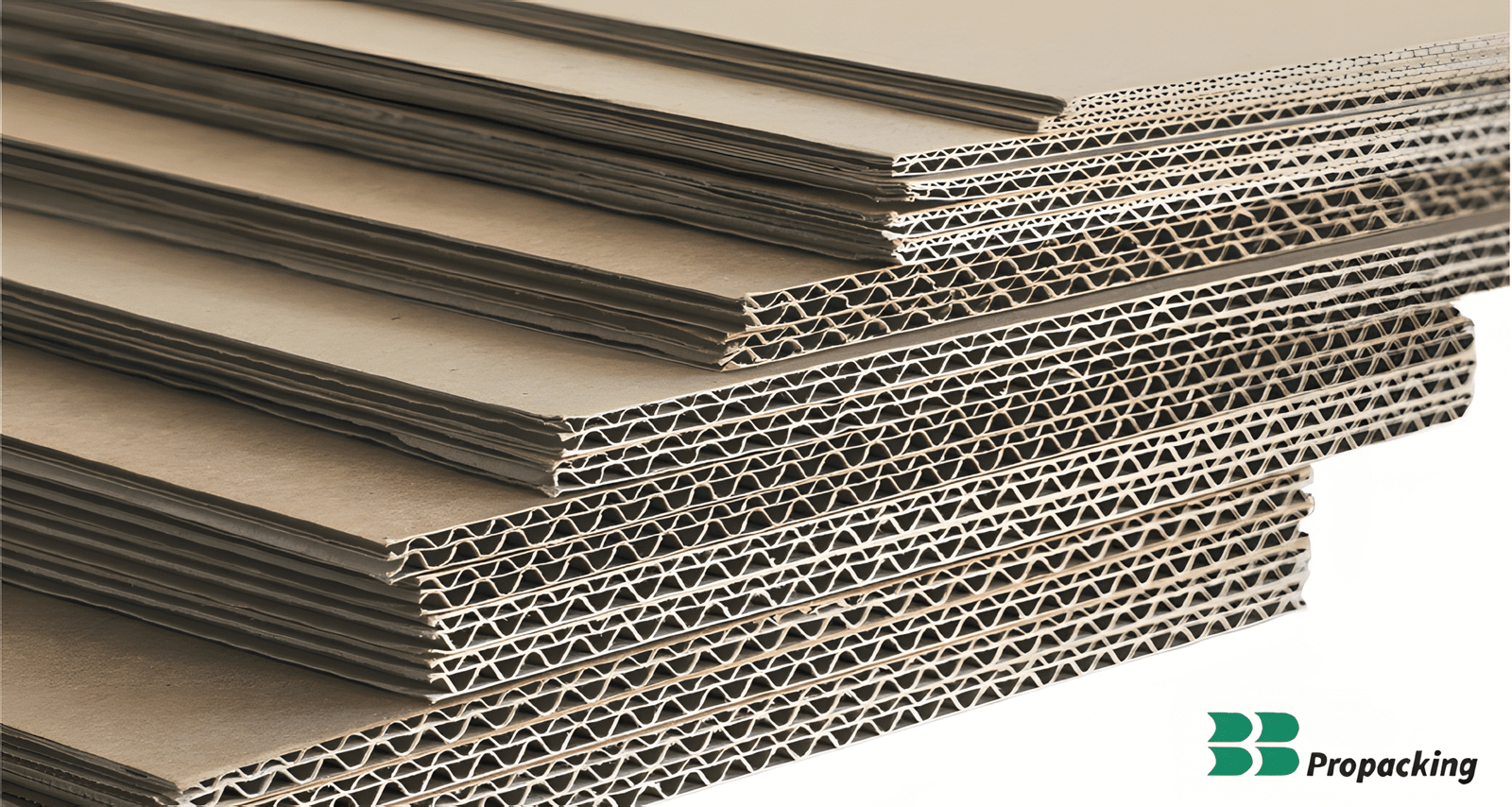 PRopacking Algerie Product 05 scaled